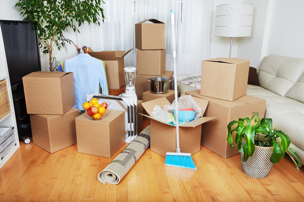 Move-In / Move-Out Cleaning - ZULEYMA HOUSE CLEANING SERVICES